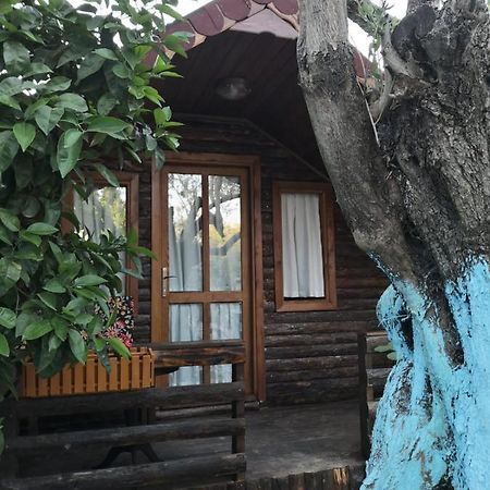 Zeytindagi Bungalow Mehmetalani Eksteriør bilde