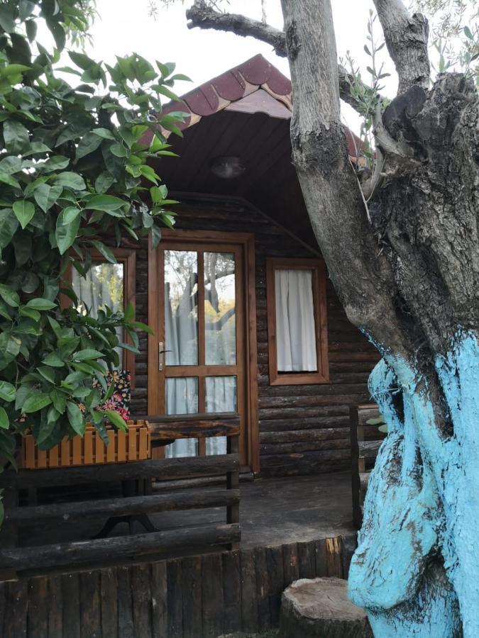 Zeytindagi Bungalow Mehmetalani Eksteriør bilde
